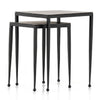 Dalston Nesting End Table Set - Raw Black