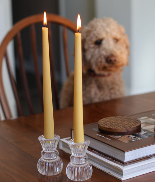 10" Beeswax Taper Candles