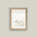 Swan Framed Art