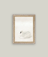 Swan Framed Art