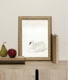 Swan Framed Art