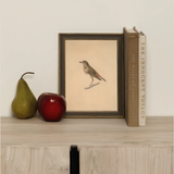 Bird Framed Art