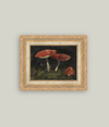 Vintage Mushroom Framed Art