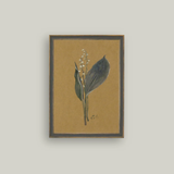 Lily On Brown