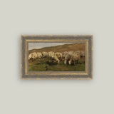 Sheep Landscape