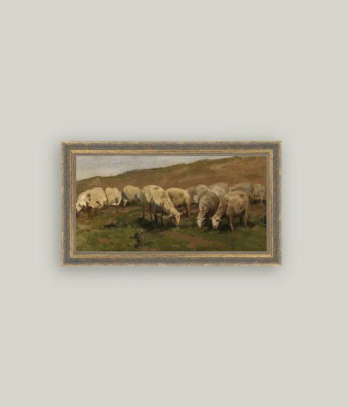 Sheep Landscape