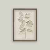 Oak Leaves Framed Art
