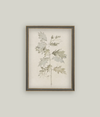 Oak Leaves Framed Art