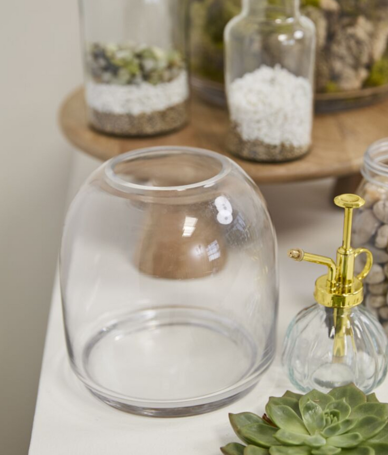Oliver Terrarium