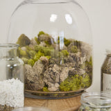 Oliver Terrarium