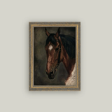 Horse Portrait Framed Art