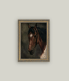 Horse Portrait Framed Art