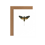 Many Thanks Moth Greeting Card