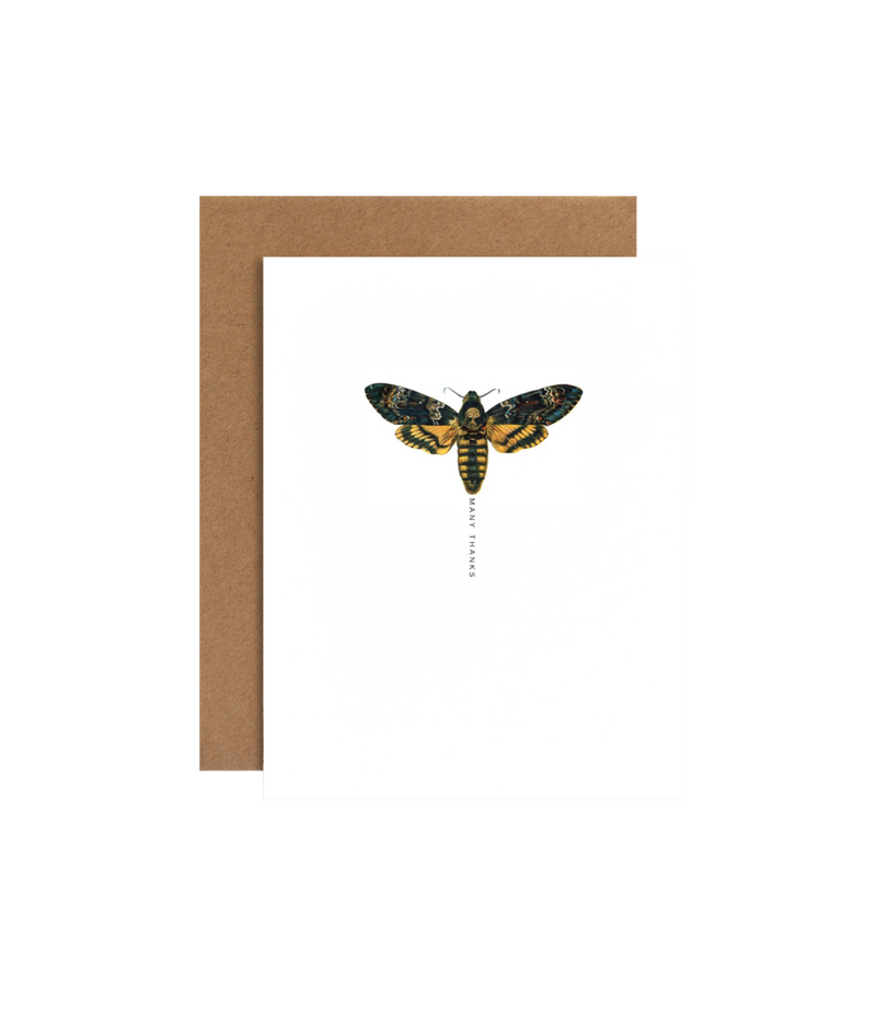 Many Thanks Moth Greeting Card