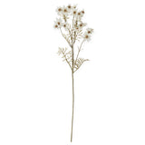 30" White Cosmo Stem