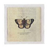 Flora and Fauna Collection