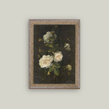 Moody Still Life Rose