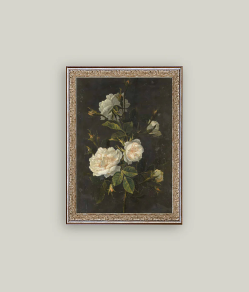 Moody Still Life Rose