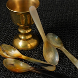 Horn Spoon