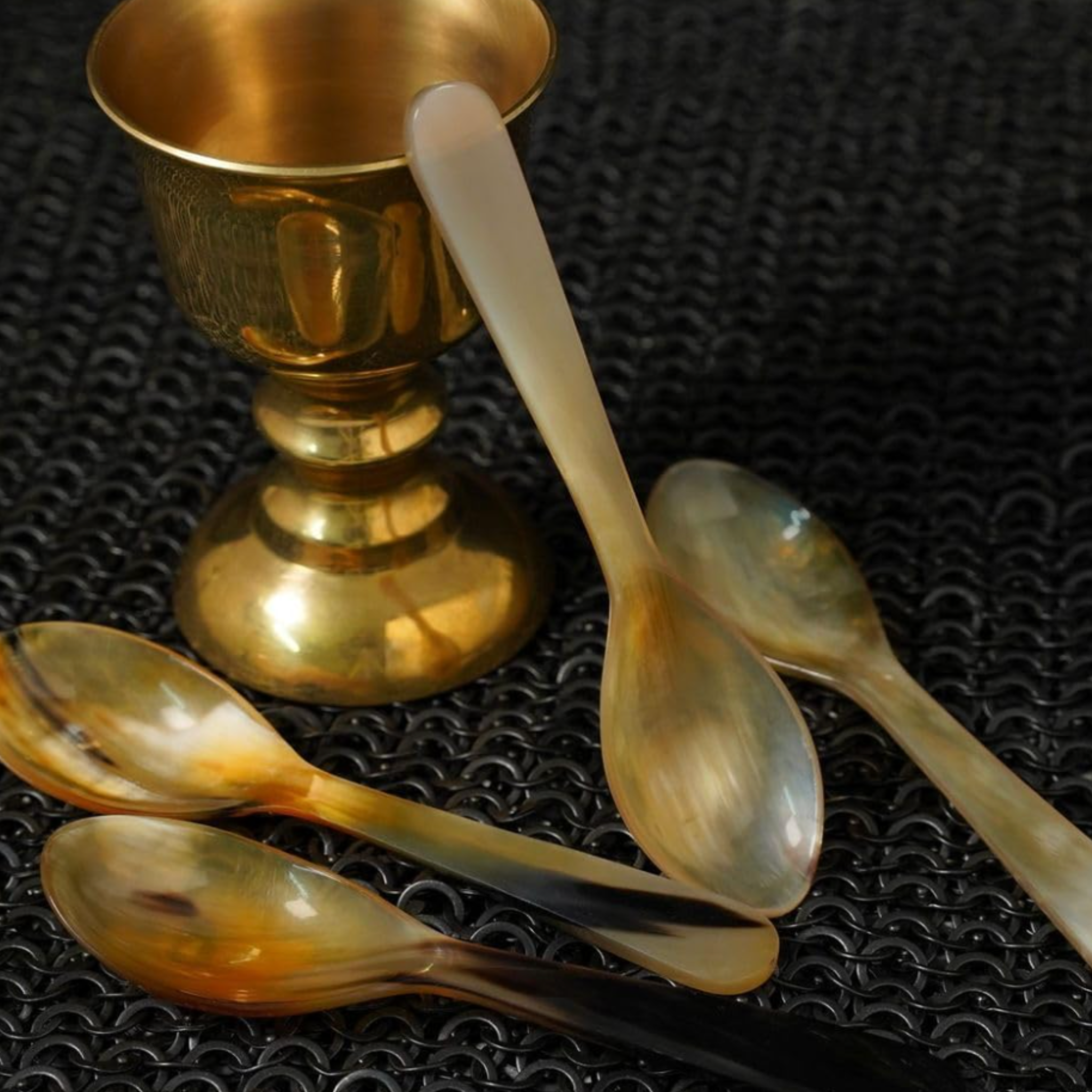 Horn Spoon