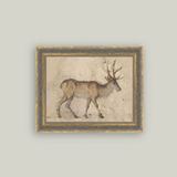 Vintage Reindeer Framed Artwork 10x8