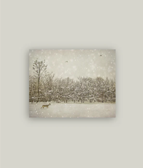 Winter Fawn Artist Board