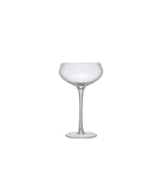 Stemmed Champagne Glass