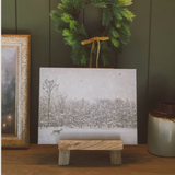 Winter Fawn Artist Board