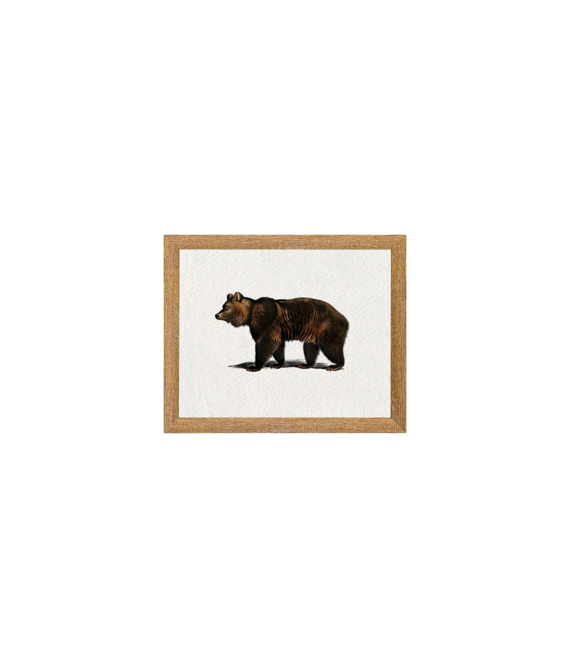 Bear Framed Art