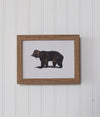 Bear Framed Art