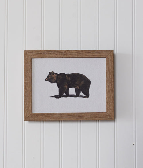 Bear Framed Art