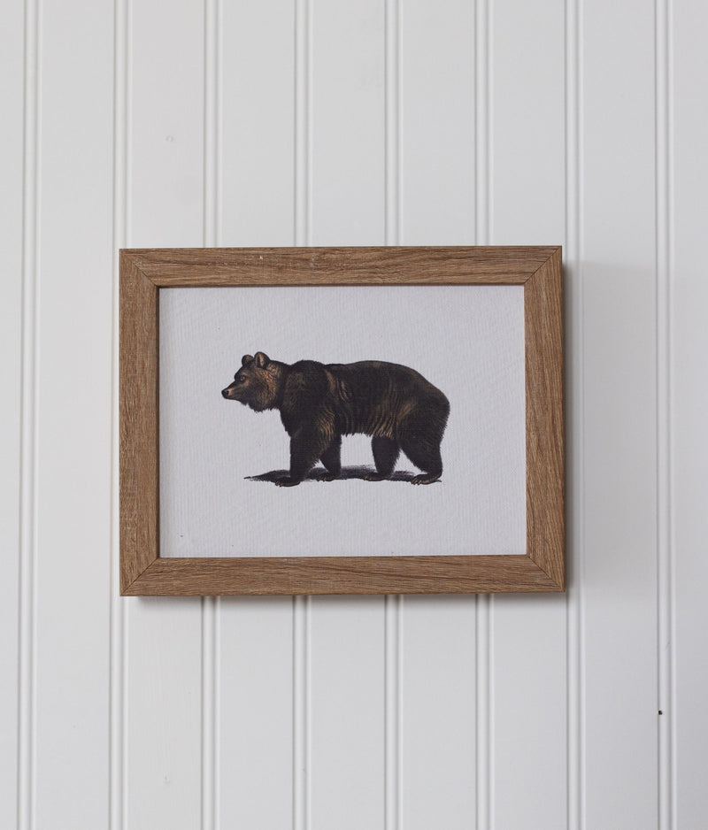 Bear Framed Art