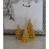 Evergreen Beeswax Candles- Small