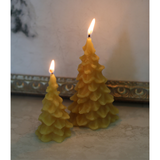 Evergreen Beeswax Candles- Small