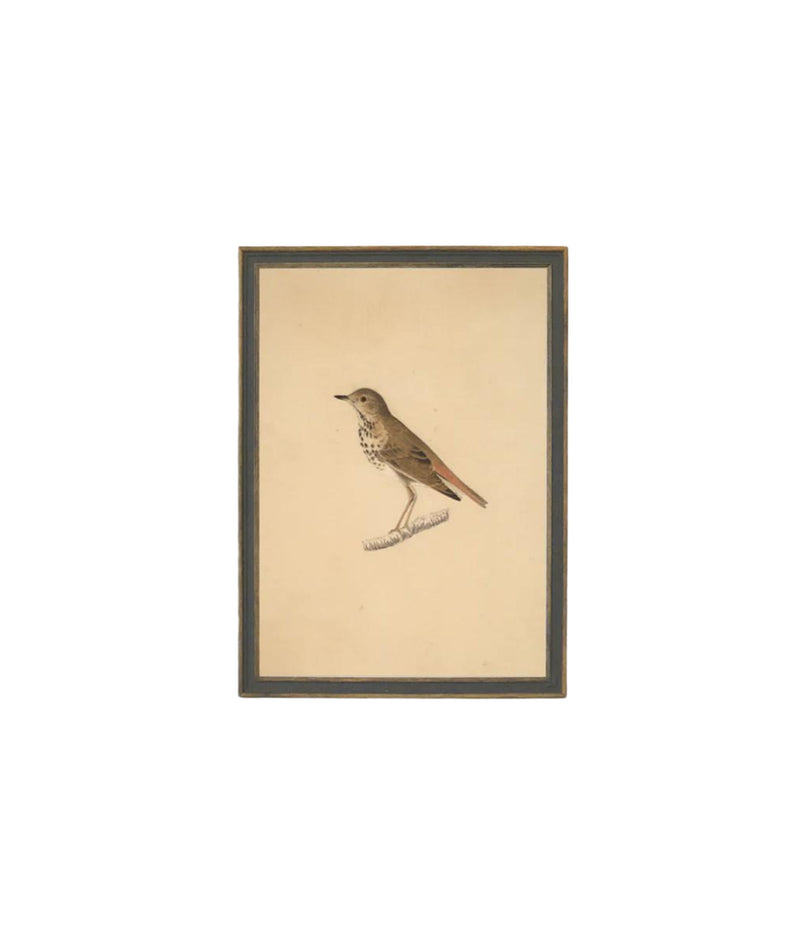 Bird Framed Art
