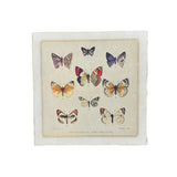 Flora and Fauna Collection