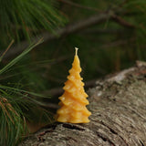 Evergreen Beeswax Candles- Small
