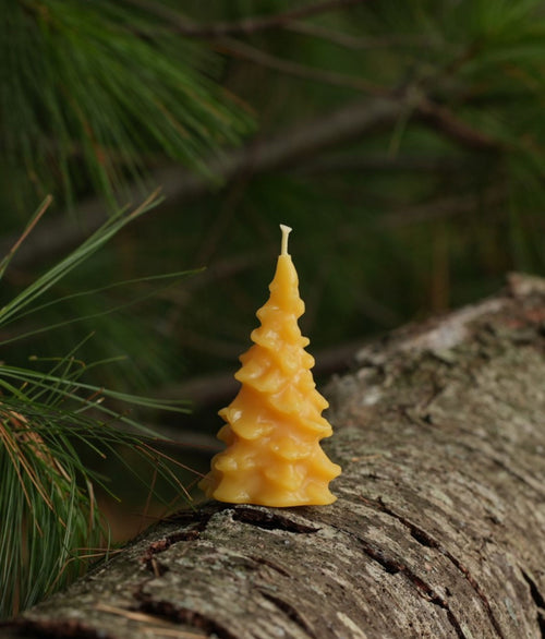 Evergreen Beeswax Candles- Small