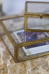 Brass & Glass Display Box w/ Scalloped Edges