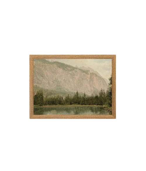 Mountain Pine Framed Art