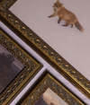 Fox In Winter Framed Art