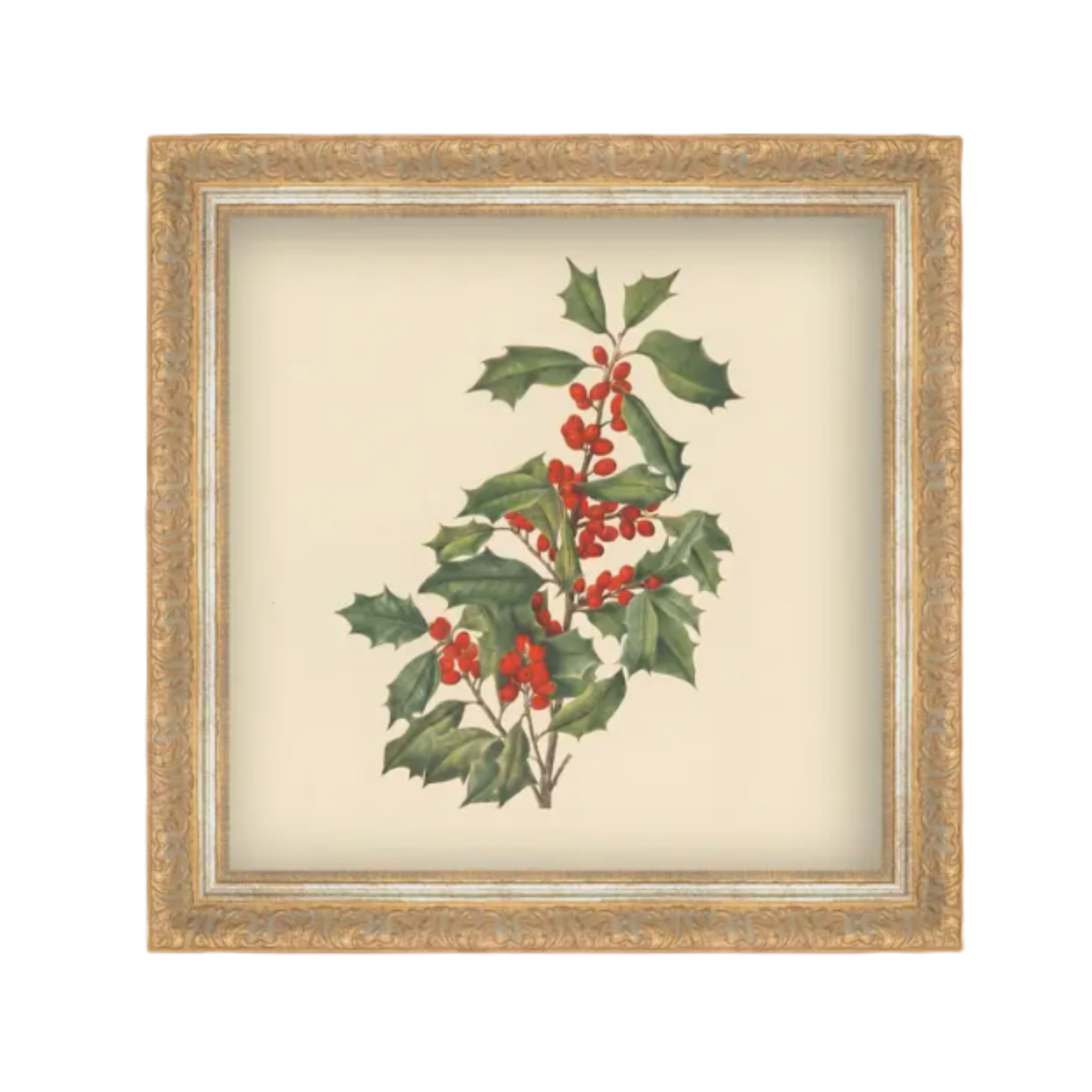 December Berry Artwork