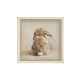 Cotton Tail Framed Artwork