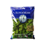 Forest Reindeer Moss