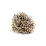 Natural Preserved Spanish Moss
