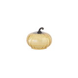 Hand Blown Amber Glass Pumpkin Cloche