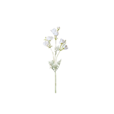 Cosmos Spray - White