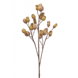 Tan Autumn Filbert Berry Spray 31"