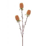 Light Coral Autumn Thistle 29"