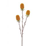 Mustard Autumn Thistle 29"